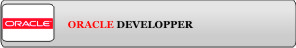 Oracle Developer