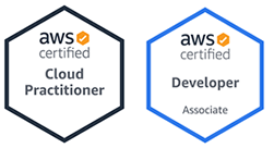 AWS Certified Cloud Practitioner + Certified Developer Associate