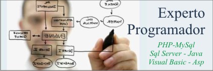 experto programador