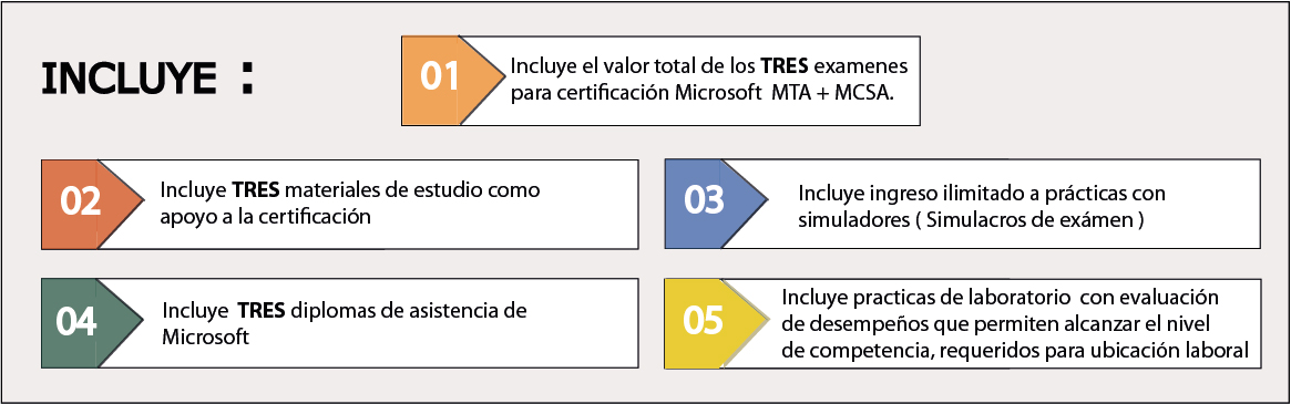 cursos de oracle